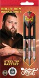 Shot Michael Smith Brass steeltip dartpijlen - 24 gram
