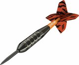 Target Raymond van Barneveld Brass steeltip dartpijlen - 22 gram