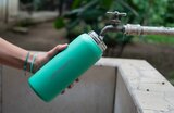 LifeStraw Go Steel waterfles met filter 700ml cactus green