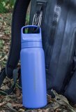 LifeStraw Go Steel waterfles met filter 700ml thistle purple