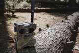 Technaxx Germany TX-189 Full HD wildcamera - 4 MP + Solar Panel
