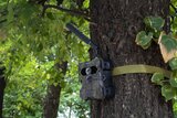 Technaxx Germany TX-189 Full HD wildcamera - 4 MP + Solar Panel