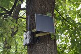 Technaxx Germany TX-189 Full HD wildcamera - 4 MP + Solar Panel