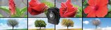 Technaxx Germany TX-164 Full HD Timelapse camera voor binnen en buiten