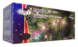 Christmas Gifts 40 LED's outdoor kerstverlichting_