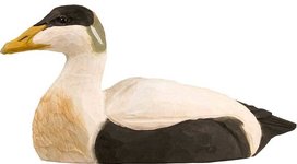 Wildlife Garden Eidereend uit hout Wildlife Garden Eidereend uit hout