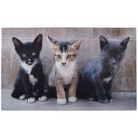 Esschert Design Kittens deurmat Esschert Design Kittens deurmat
