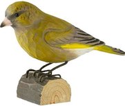 Wildlife Garden Groenling uit hout Wildlife Garden Groenling uit hout