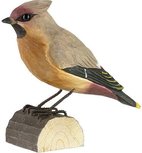 Wildlife Garden Pestvogel uit hout Wildlife Garden Pestvogel uit hout