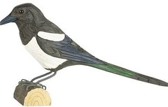 Wildlife Garden Ekster uit hout Wildlife Garden Ekster uit hout