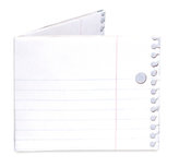 Mighty Wallet 3-Ring Binder Mighty Wallet 3-Ring Binder