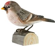 Wildlife Garden Barmsijs uit hout Wildlife Garden Barmsijs uit hout
