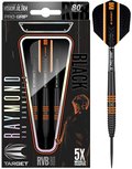 Target 80% Raymond van Barneveld Black steeltip dartpijlen Target 80% Raymond van Barneveld Black steeltip dartpijlen