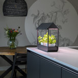 Esschert Design kweekkas met groeilamp zwart Esschert Design kweekkas met groeilamp zwart