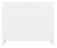 Eurom E-Infrared 600 WiFi infraroodkachel - staand of hangend