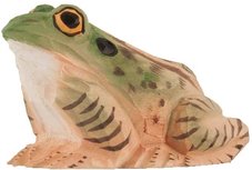 Wildlife Garden Grote Kikker uit hout Wildlife Garden Grote Kikker uit hout