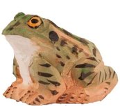 Wildlife Garden Kleine Kikker uit hout Wildlife Garden Kleine Kikker uit hout