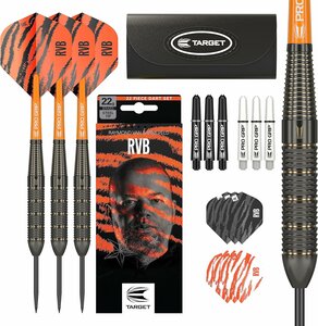 Target Raymond van Barneveld Brass steeltip dartpijlen - 22 gram
