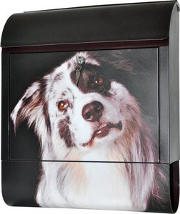 Die Briefkastenfirma Australian Shepherd brievenbus