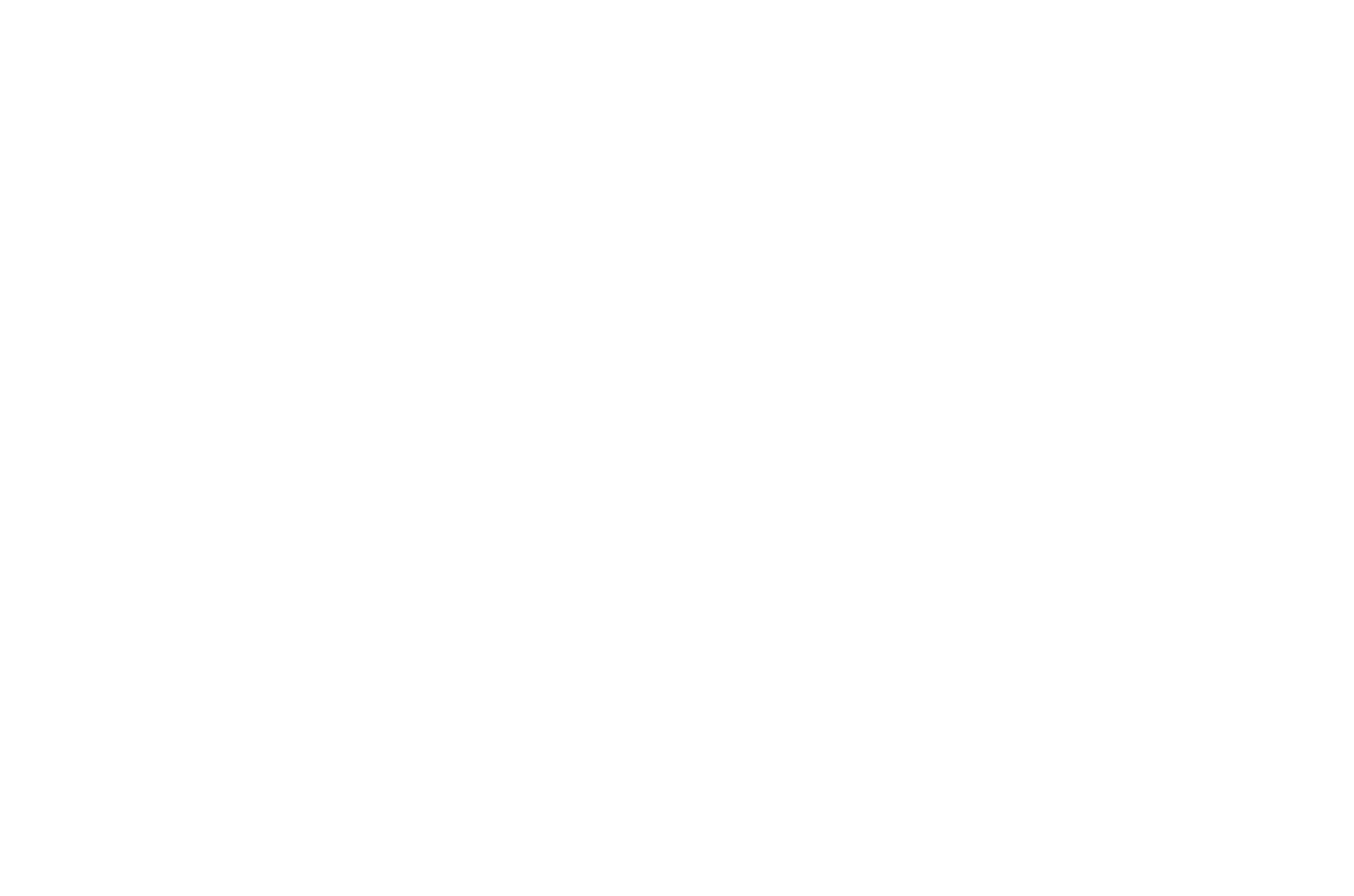 FD Gazellen